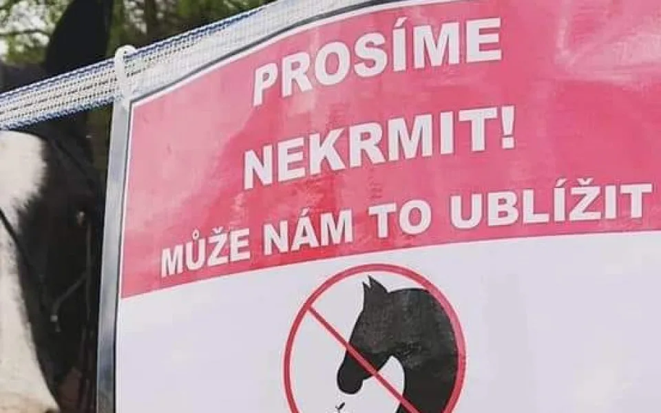 ilustrační foto