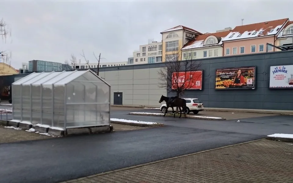 Koně se podařilo odchytit městské policii až na parkovišti u Kauflandu