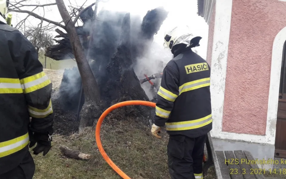 Torzo dříve památného stromu zachvátil požár, hasiči nevylučují úmyslné zapálení