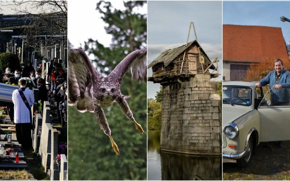 BŘEZEN 2021: Vládní opatření, útoky dravé zvěře i mladíci, kteří zachraňují bunkry