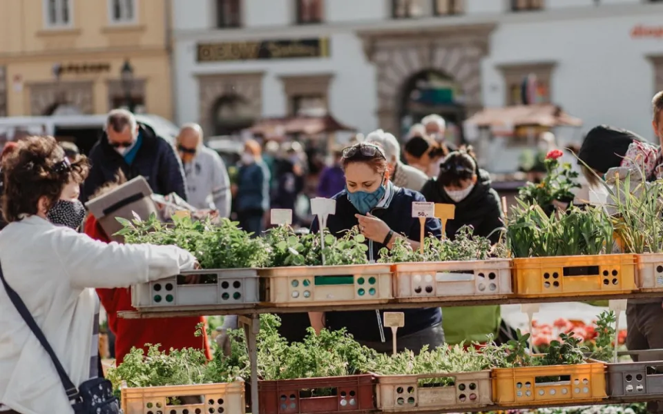 Farmářské trhy se vrací na náměstí v Plzni, bude jich ale méně než obvykle