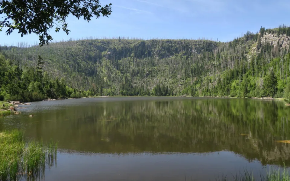 Otužilce z Plešného jezera Pokuta nemine, porušil zákaz koupání v NP Šumava