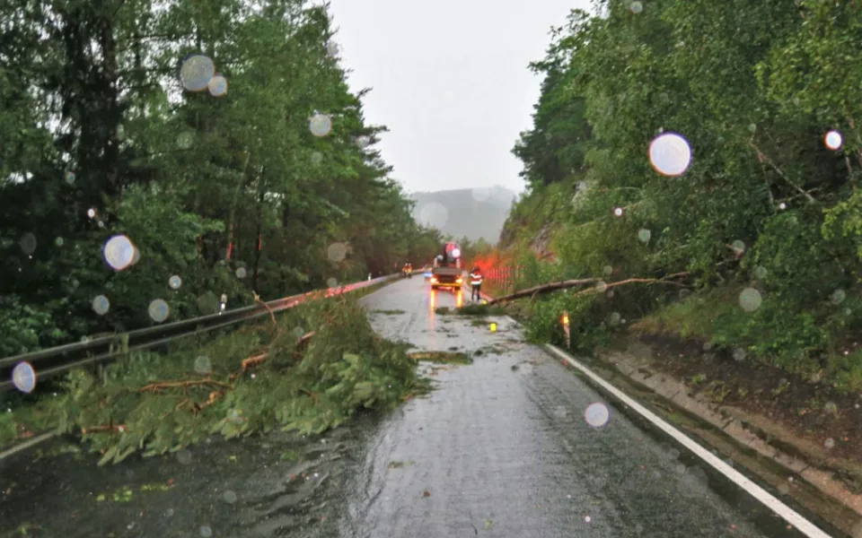 Bouří vyvrácený strom spadl na Klatovsku na projíždějící auto s bagrem