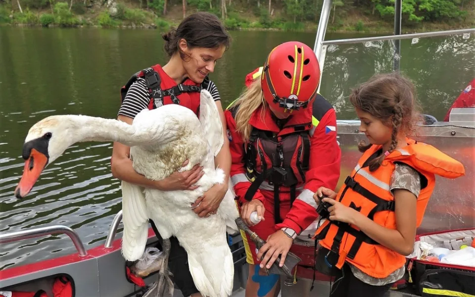 Tato záchranná akce se nakonec vydařila