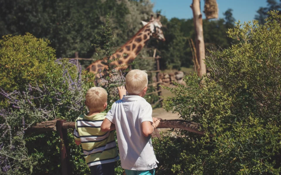 ZOO Plzeň, foto: Visit Pilsen