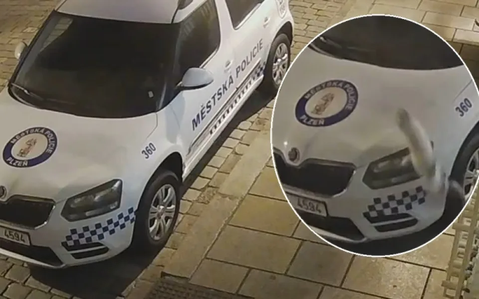 Kočka zdemolovala kapotu policejního vozu, usvědčily ji kamerové záznamy