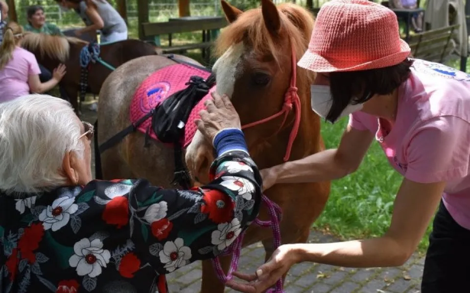 Speciálně cvičení poníci rozdávají radost kamkoli vejdou, tato forma terapie je u nás na vzestupu