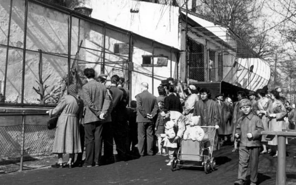 Návštěvníci u pavilonu opic v Doudlevcích, foto: archiv ZOO Plzeň /Stanislav Holubec