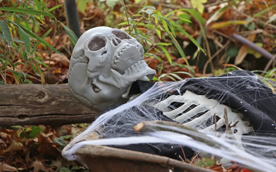 Zoologický zahrada zve na strašidla