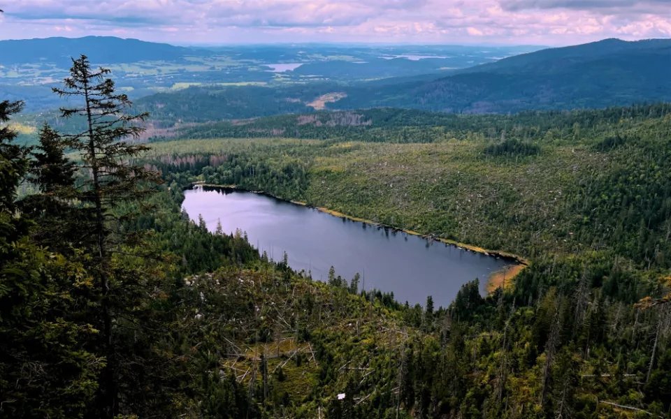 Plešné jezero