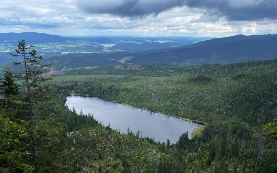 Velkým turistickým cílem v NP Šumava je Plešné jezero