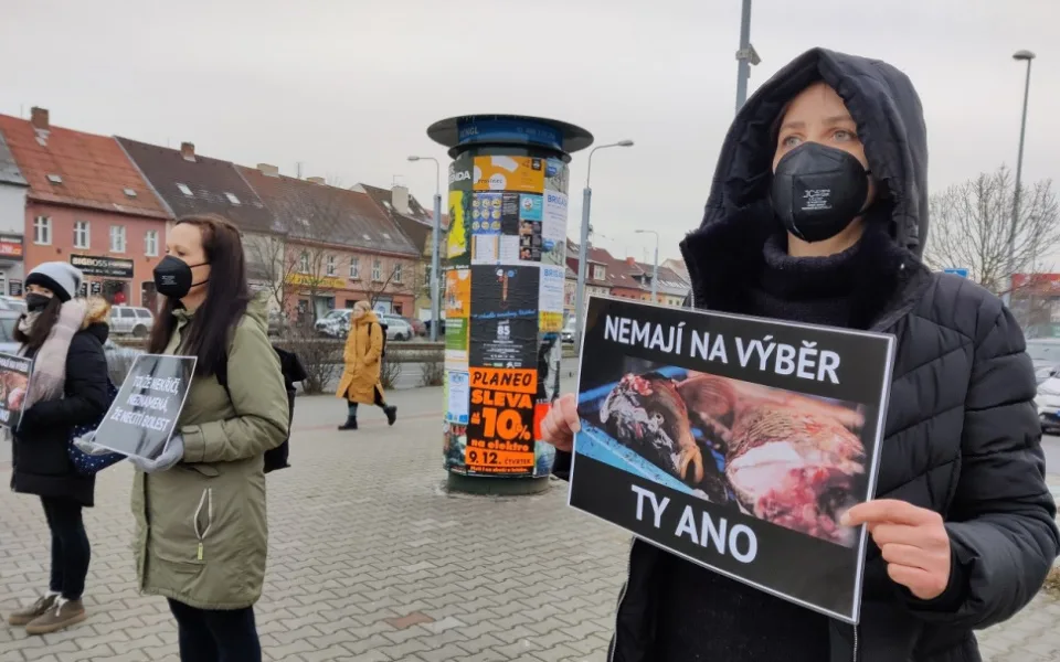 Tichou uličkou bojují aktivisté za Vánoce bez zabíjení kaprů