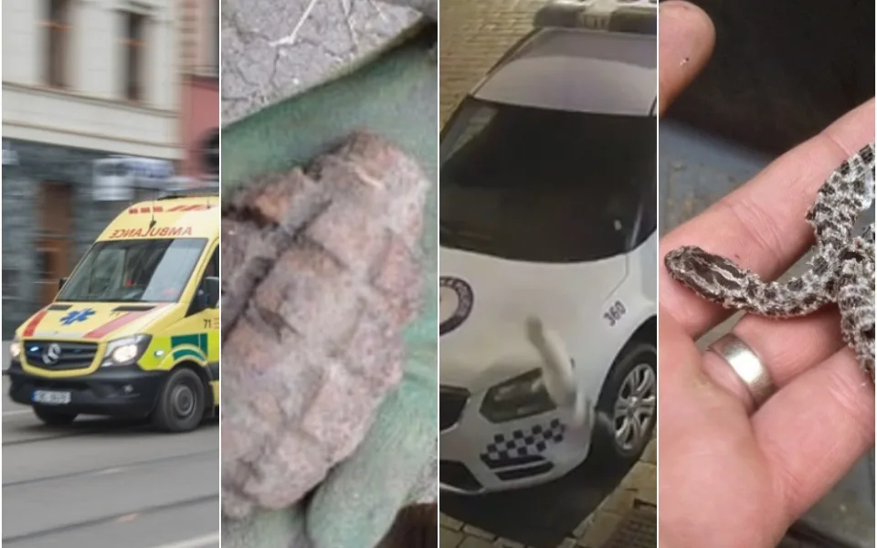 Kuriozity letošního roku: Senior s granátem v čepici, kočka demolující policejní auto i hadí ušktnutí