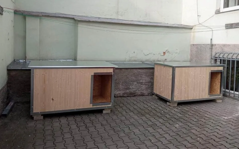 Bezdomovci mohou na noclehárnu i se svými psy, před Domovem sv. Františka vznikly nové kotce