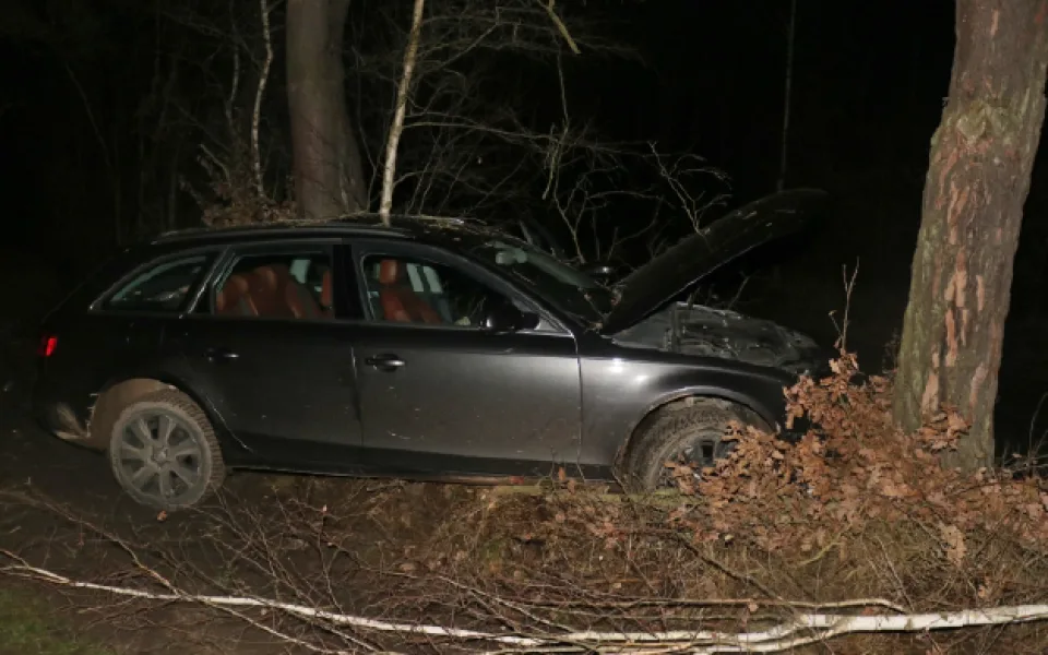 Zdrogovaný muž ukradl na parkovišti nastartovaný vůz Audi, při divoké honičce s policií narazil do stromu