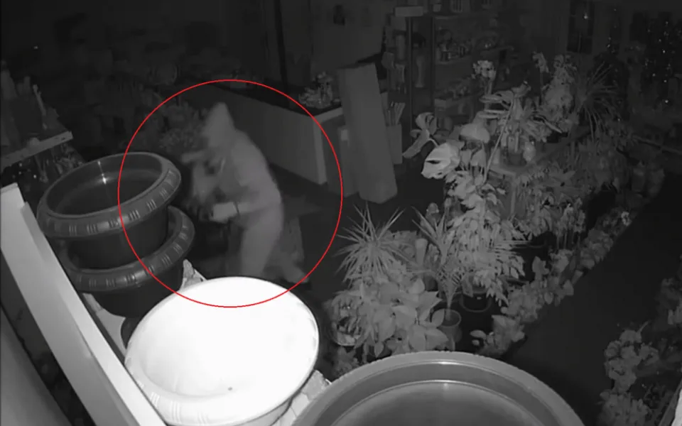 VIDEO: Za objednané zboží se jim platit nechtělo, výdejní místa trojice zlodějů vykradla