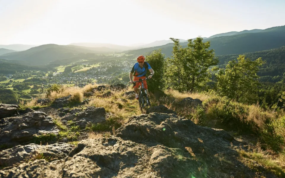Marco Felgenhauer / woidlife photography
