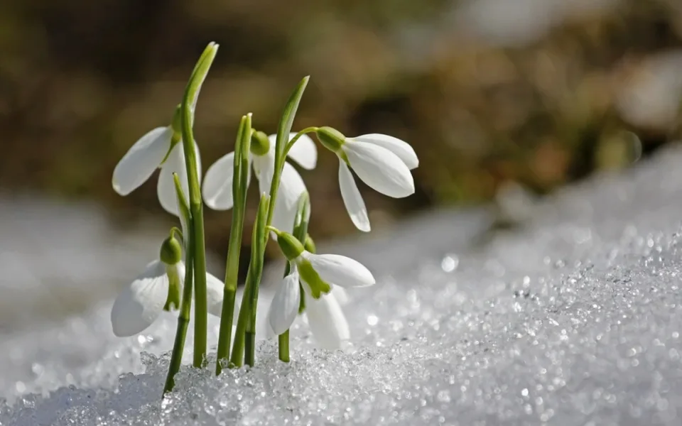 ilustrační foto