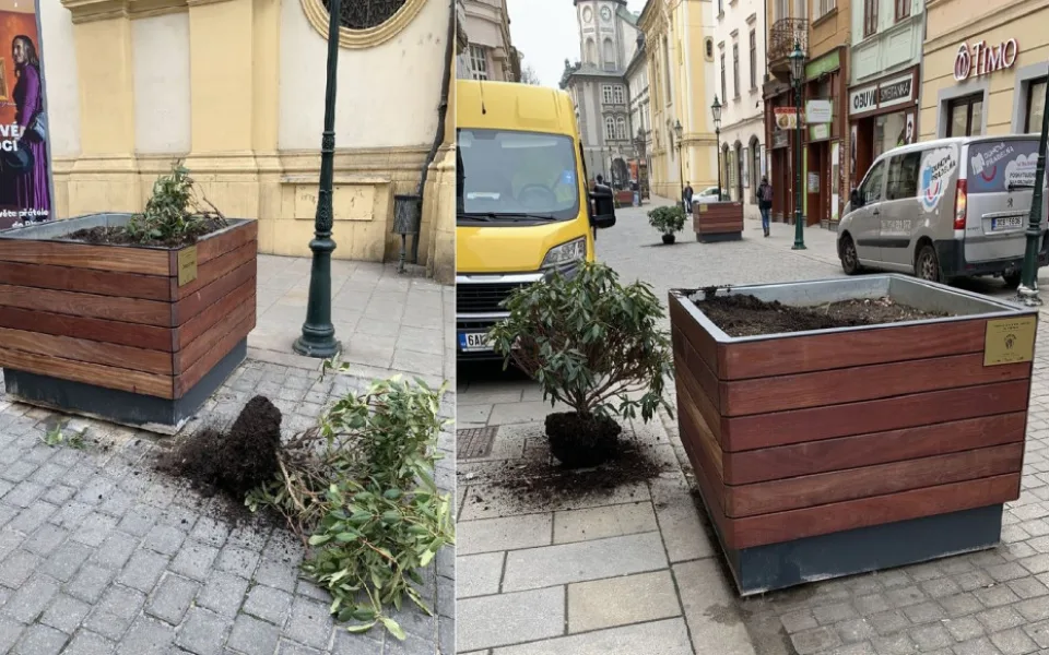 Dvojice vandalů v noci poškodila obří květináče osázené stromy a keři v samotném centru Plzně