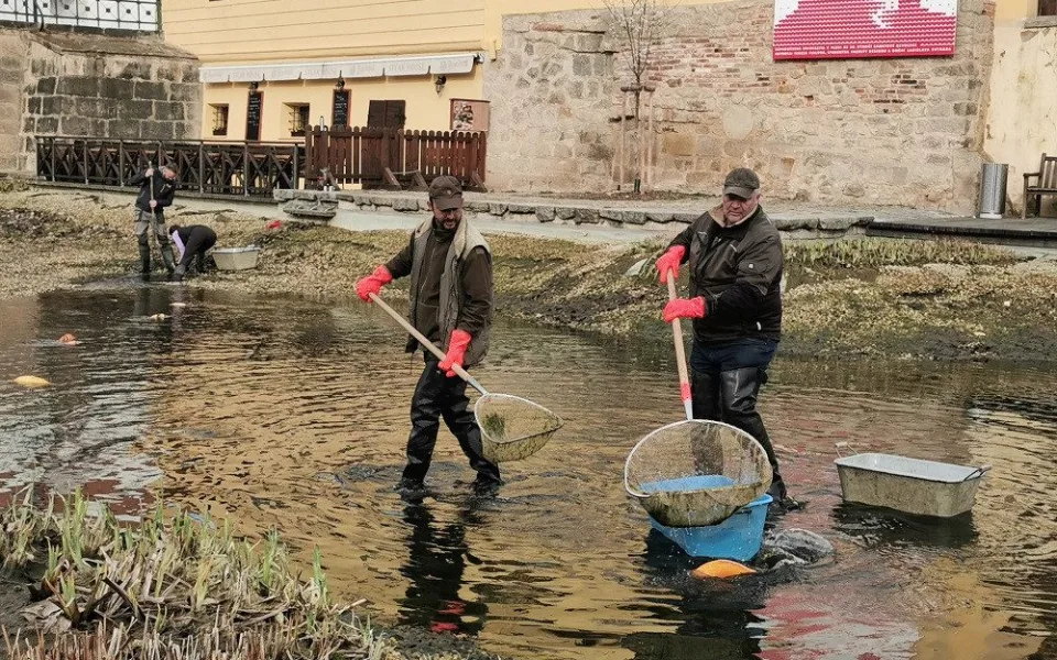 Koi kapři a ostroretky na čas upustí Mlýnskou strouhu, jezírko prochází jarním úklidem
