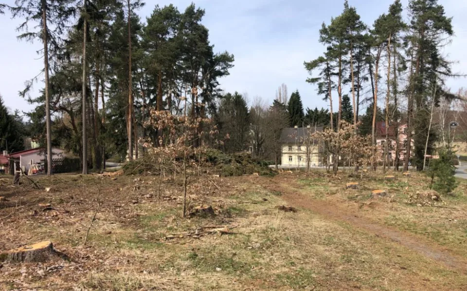 Pět set nových listnatých a jehličnatých stromků omladí zdecimovaný park v Konstantinových Lázních
