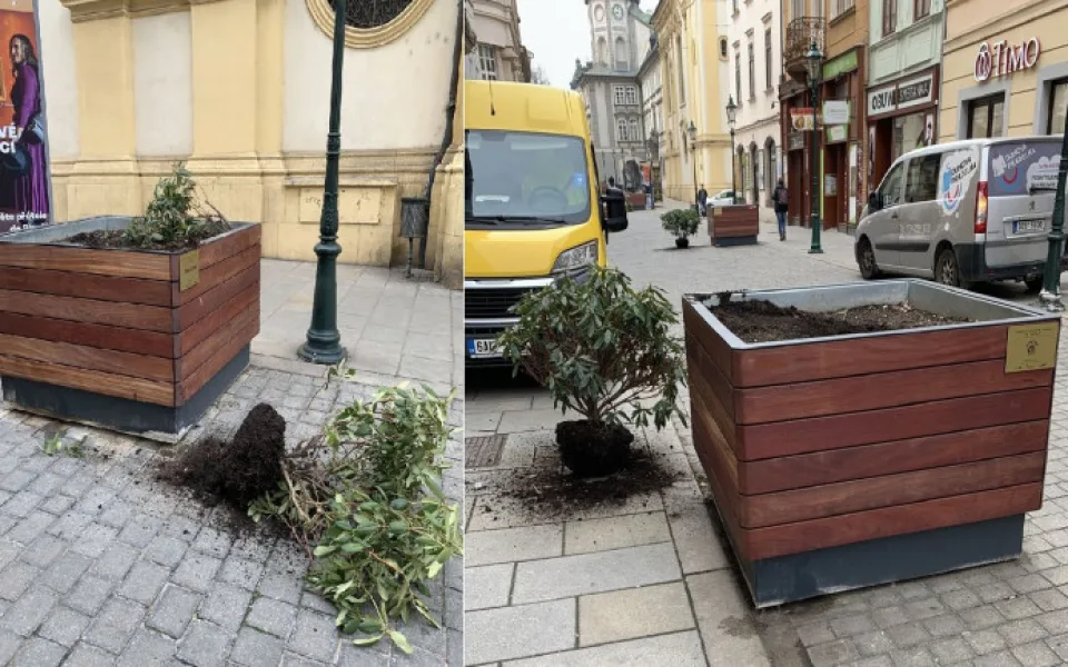 Taková spoušť zůstala po útoku vandalů ve Smetanových sadech v centru Plzně