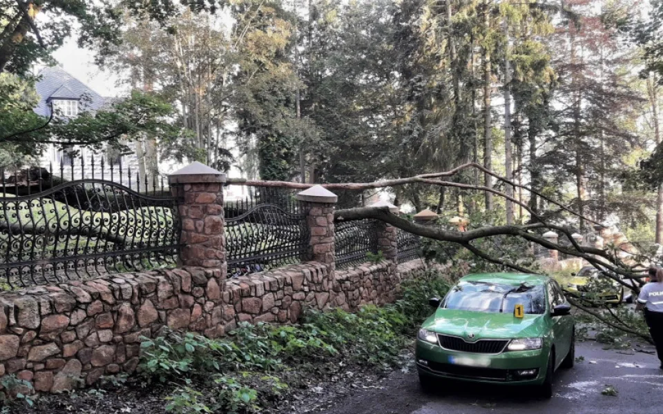 Ulomená obří větev zasáhla projíždějící automobil a zranila jeho řidičku