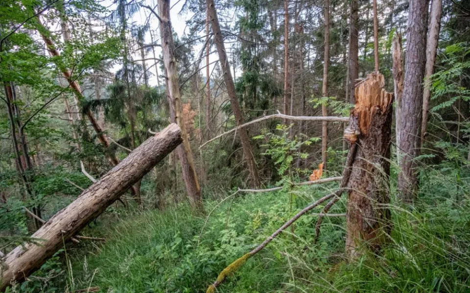 foto: Štěpán Rosenkranz