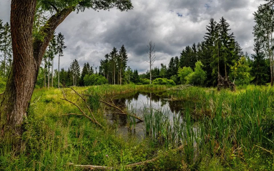 Revitalizace vodního systému u Karlova nedaleko Spáleného Poříčí na jižním Plzeňsku, foto: fanousfoto.cz