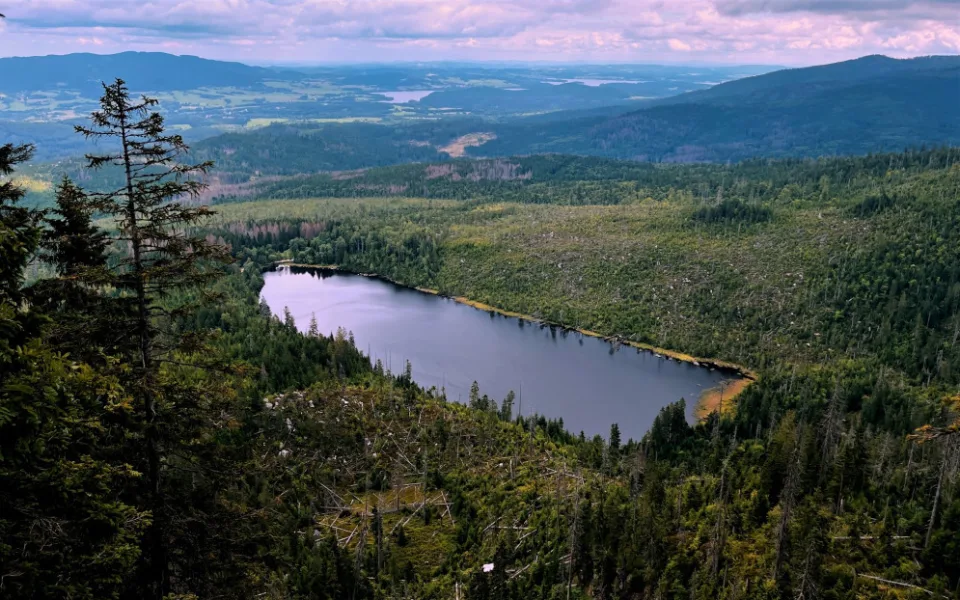 Plešné jezero
