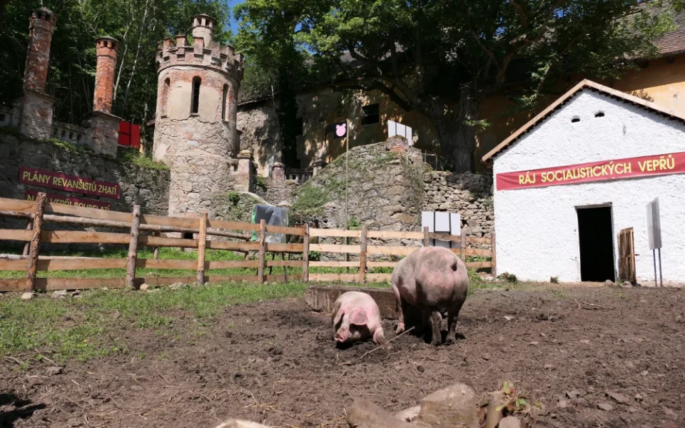 Zelenou Horu proslavili nejvíce Černí baroni, nyní chce kraj zámek opravit a zadá studii na jeho obnovu