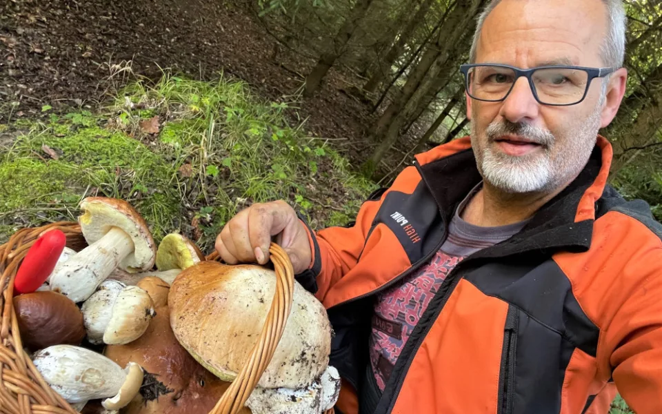 Za necelou hodinku se podařilo nasbírat plný koš hřibovitých hub