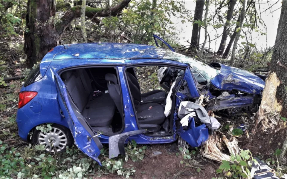 Po strašlivém nárazu do stromu se z auta vytrhl motor a odletěl 15 metrů. Dva cizinci utrpěli těžká zranění