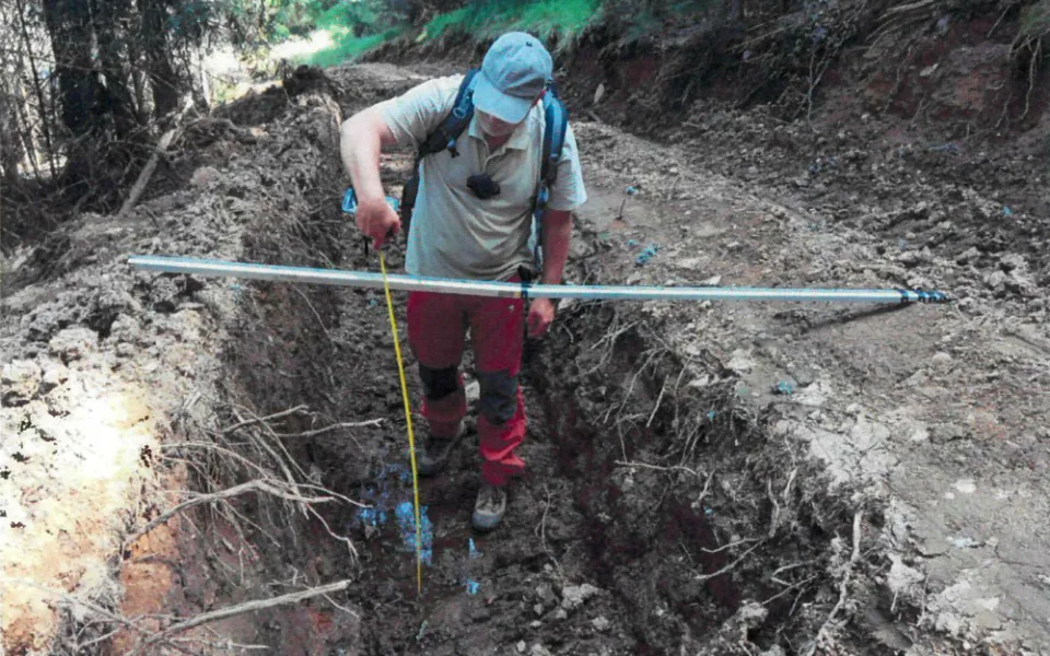 Nejhorší devastace lesů za poslední roky, hodnotí spolky hospodaření městské firmy v šumavském národním parku