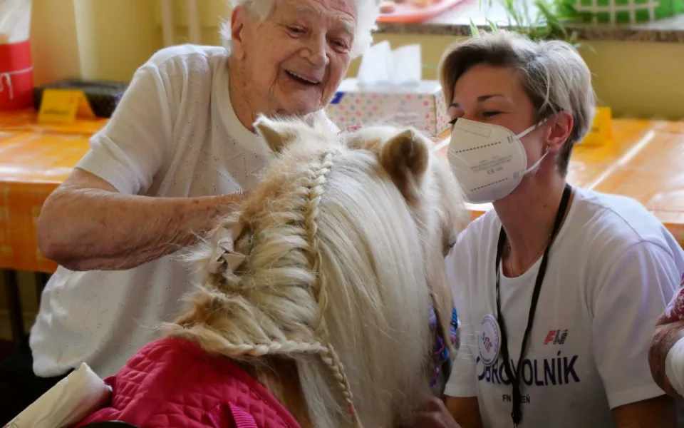 Radost pacientům v nemocnici rozdával poník Smajlík, potěšil zejména starší pacienty