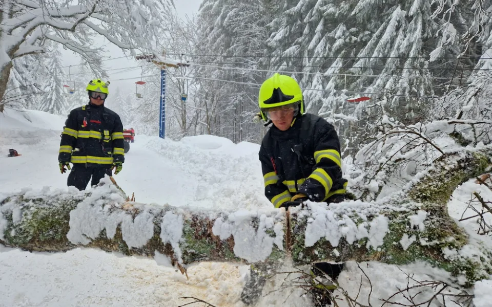 Hasiči odstraňují padlý strom na Hofmankách u šumavského Špičáku
