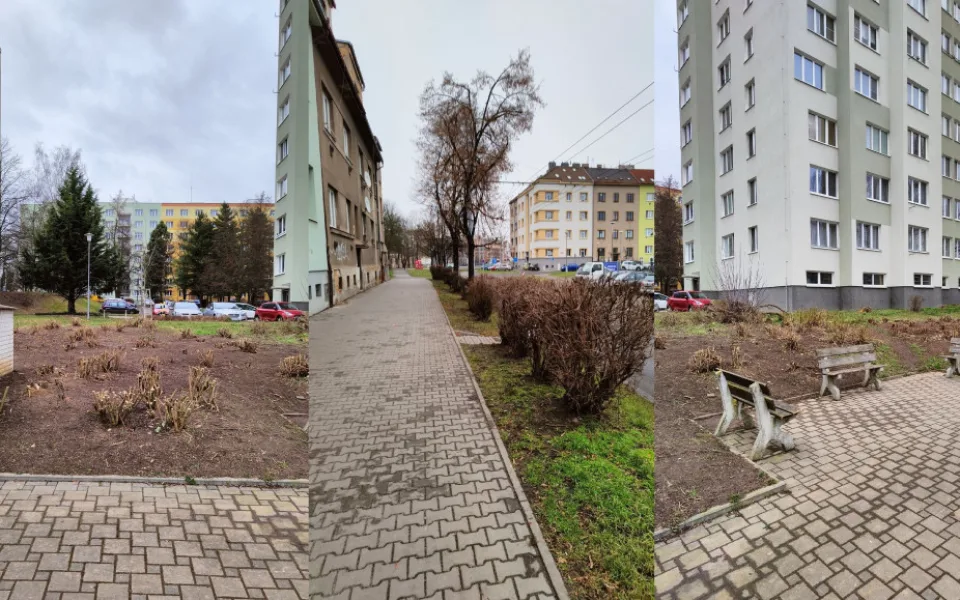 Skvrňany