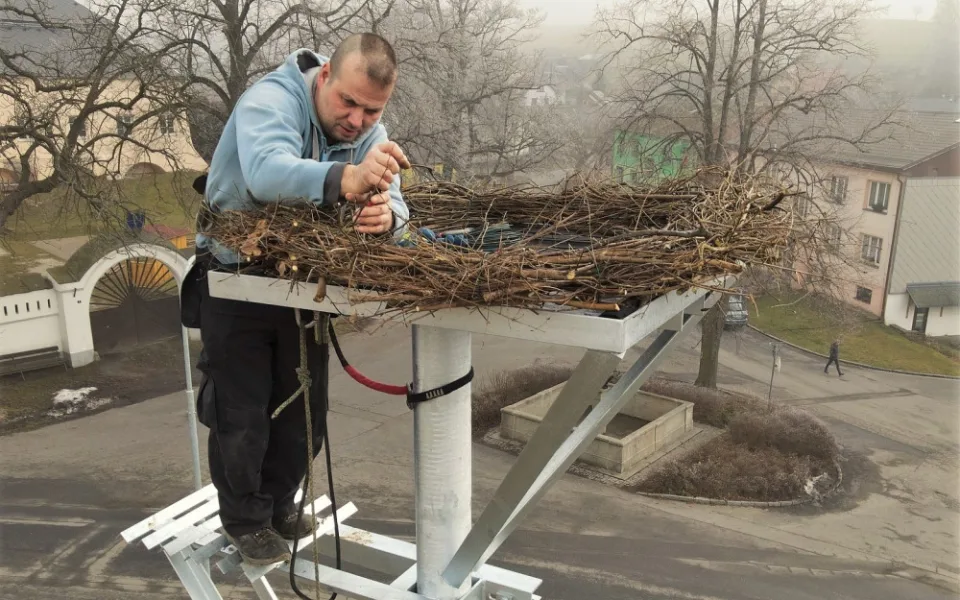 Šumavská obec připravila nové hnízdo pro své čápy. Staré bylo vpleteno do vodičů elektrického vedení a muselo pryč