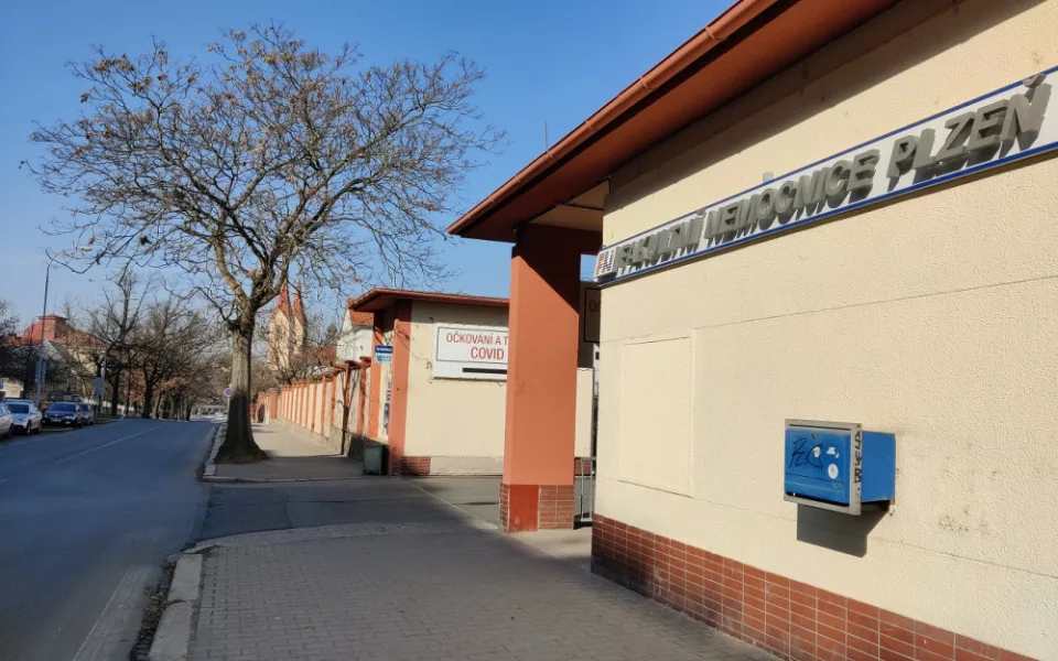 U fakultní nemocnice na Borech začne zítra kácení stromů, musí ustoupit novým parkovacím místům