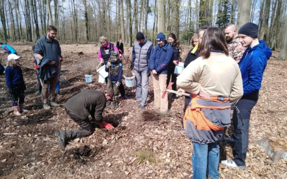 Plzeňané se mohou zapojit do obnovy lesa a vysadit si v arboretu Sofronka svůj stromek