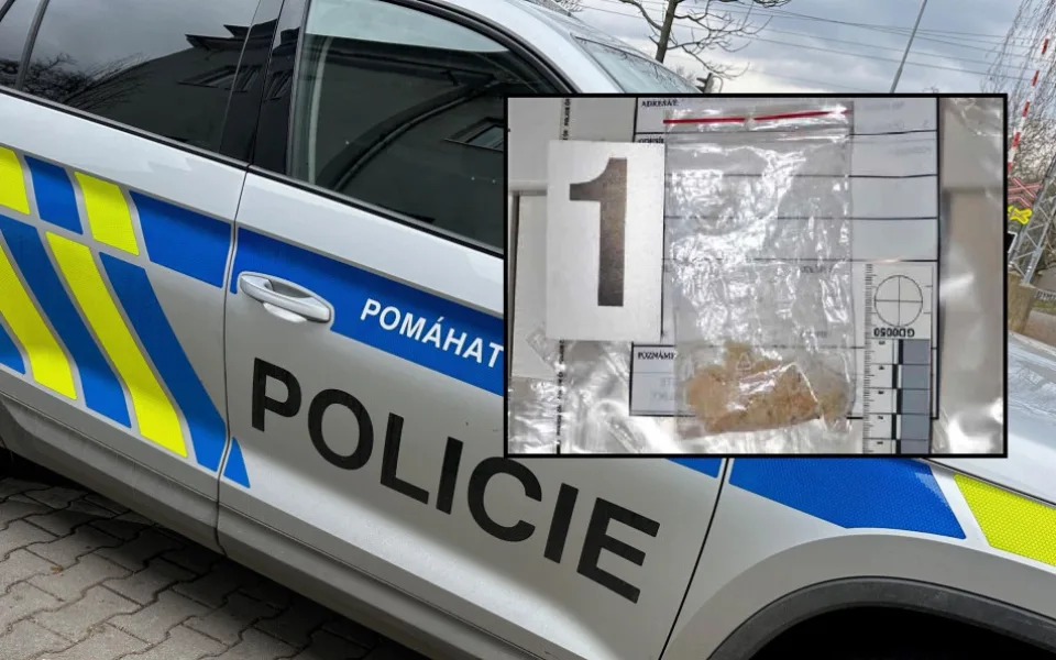 Dealerka u sebe měla pervitin