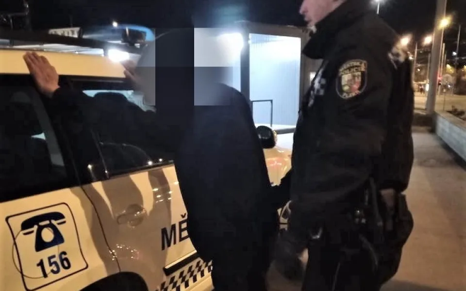 ilustrační foto z jiného zákroku plzeňské městské policie