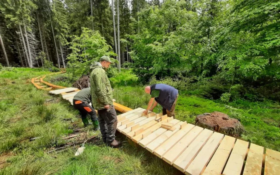 Turisté se díky nové stezce dostanou k Boubínskému jezírku