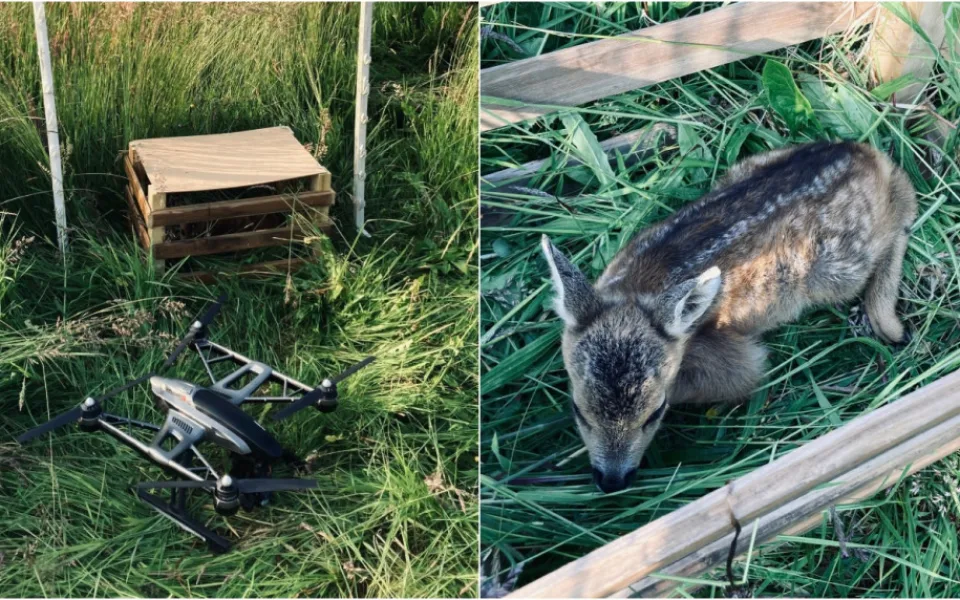 Hledá se dron, který zachraňuje životy srnčat před sekačkami na loukách, letos už pomohl 55 mláďatům