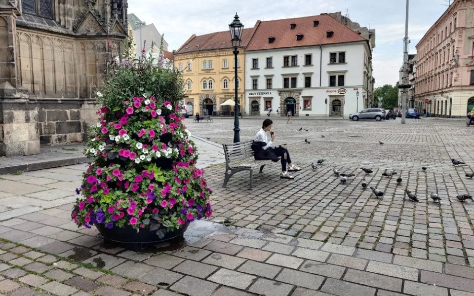 ANKETA: Jak se vám líbí květinová výzdoba na náměstí Republiky?