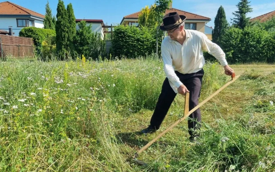 František Baloun při sekání trávy kosou.