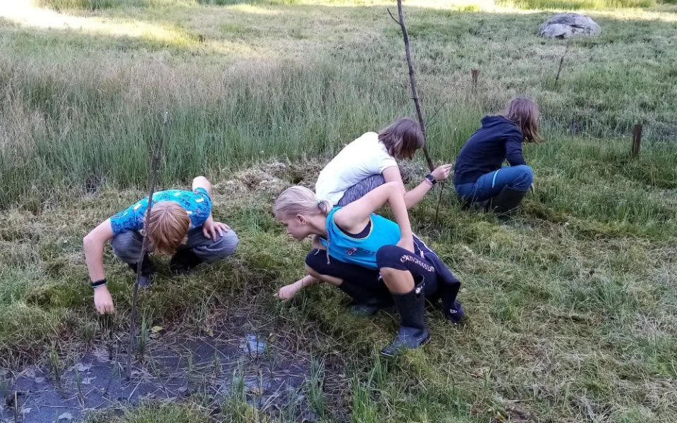 Monitoring rosnatky prostřední, foto: Věra Končická