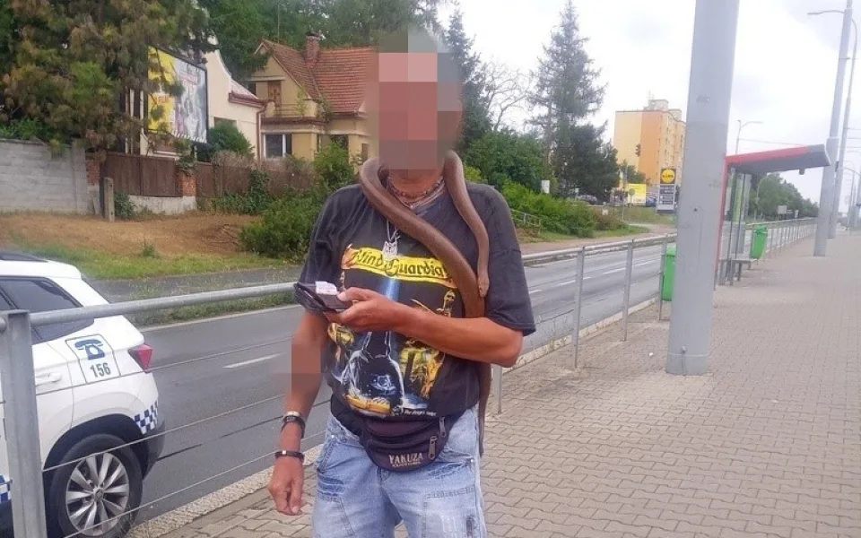 Muž si omotal živého hada kolem krku a děsil cestující v tramvaji