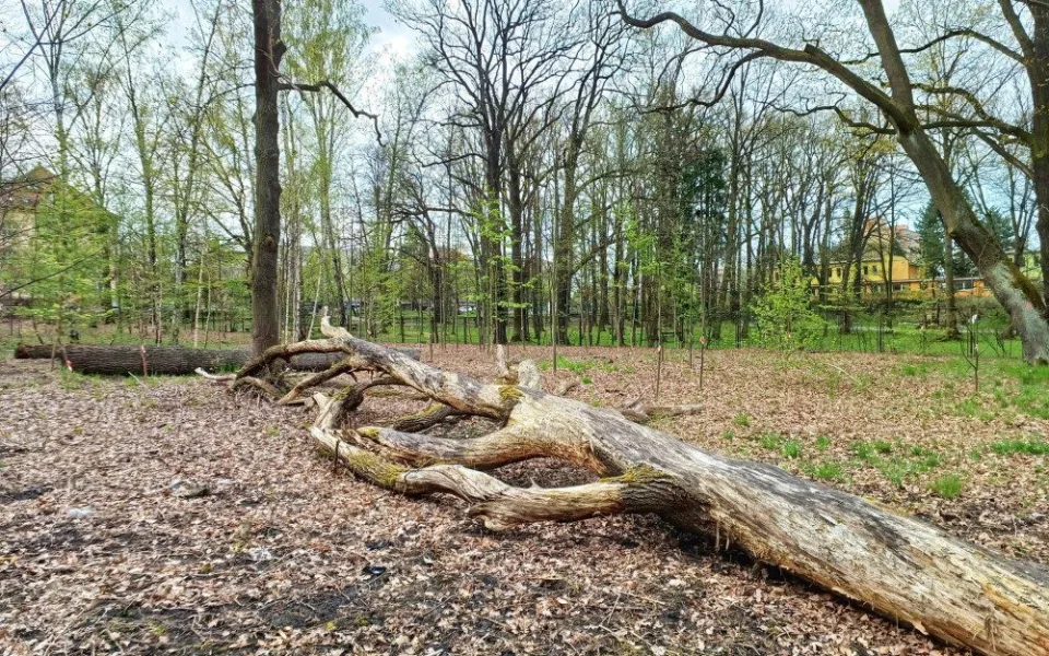 Dříve zpustlý Papírenský park projde proměnou, lidé se budou moci seznámit s návrhem revitalizace
