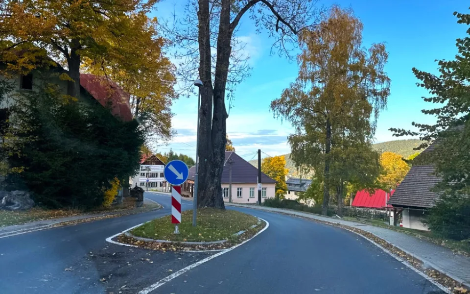 Uprostřed šumavské silnice vyrůstá z ostrůvku chráněný jasan, který nelze pokácet. Některým řidičům to vadí